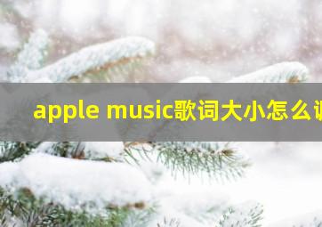 apple music歌词大小怎么调